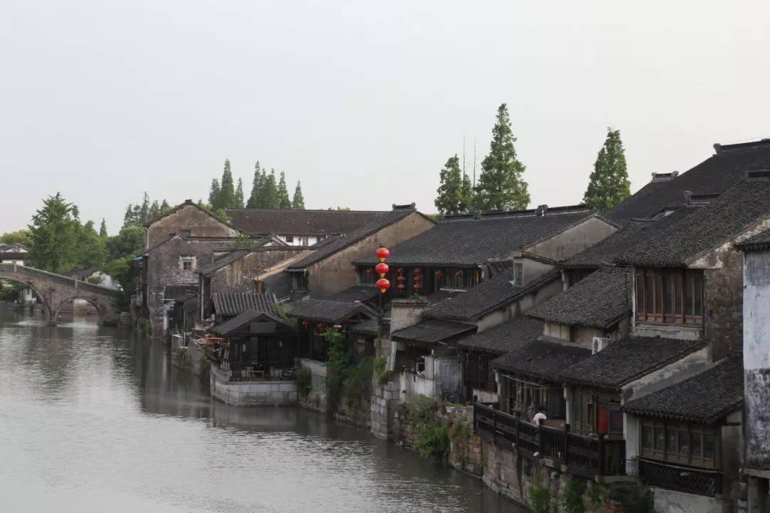 侍忍者